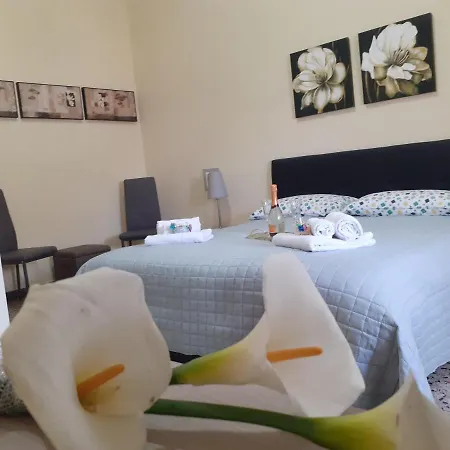 아파트 Damax&sax 레체